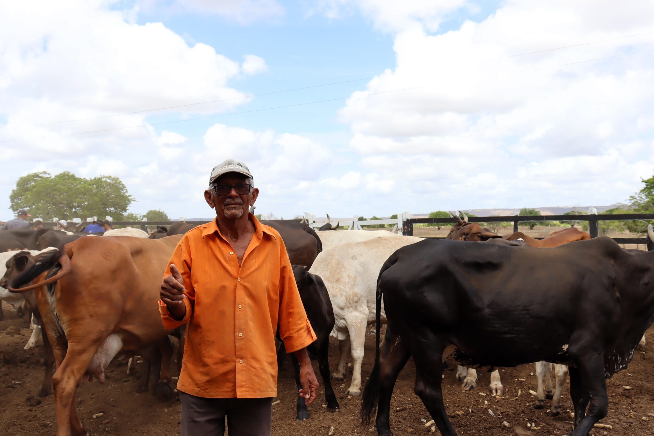 Ações da Seagri contribuem para qualidade do leite e derivados produzidos na irrigação do Jabiberi