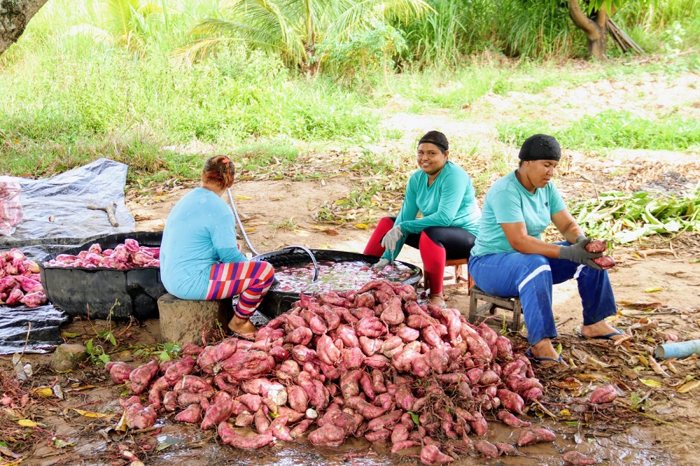 Governo de Sergipe e Seagri investem no trabalhador do campo e na produção agrícola em 2023