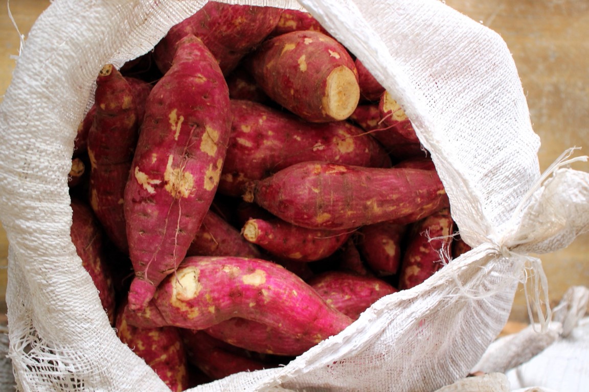 Mais de 60 toneladas de alimentos produzidos no perímetro irrigado de Lagarto serão doados