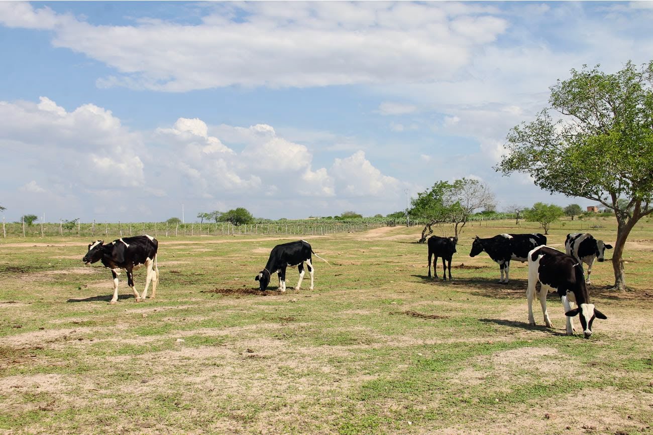 Governo de Sergipe publica edital para projeto da Adutora do Leite