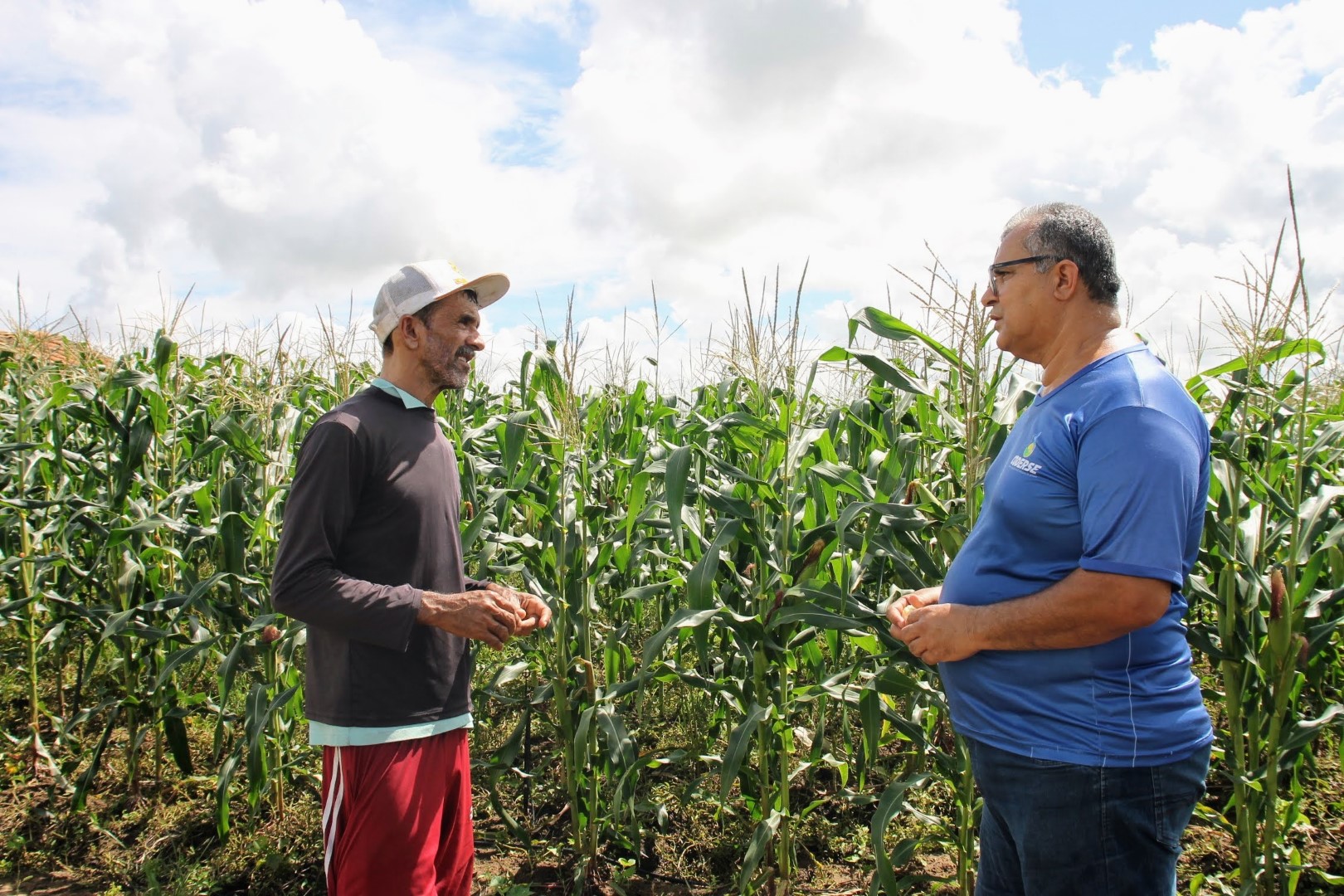Governo do Estado incentiva desde a produção até a comercialização de produtos juninos
