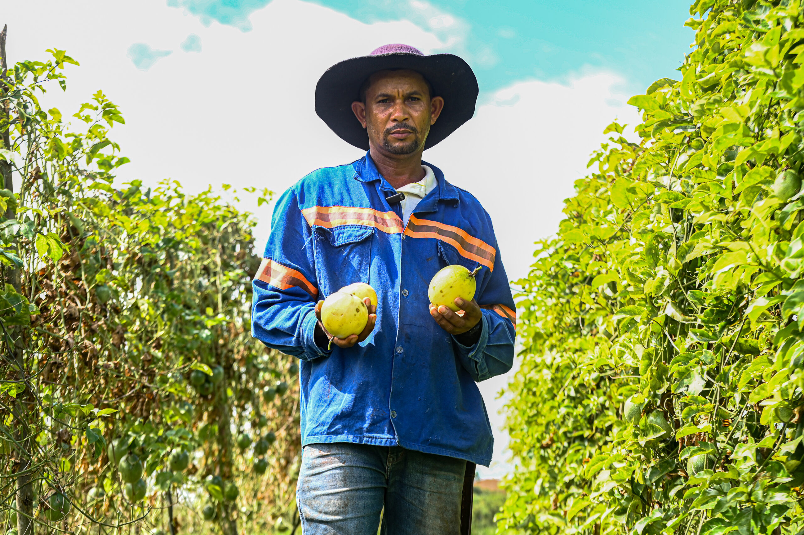 Mais de 14 mil sergipanos são diretamente beneficiados por tecnologia de irrigação ofertada pelo Governo do Estado