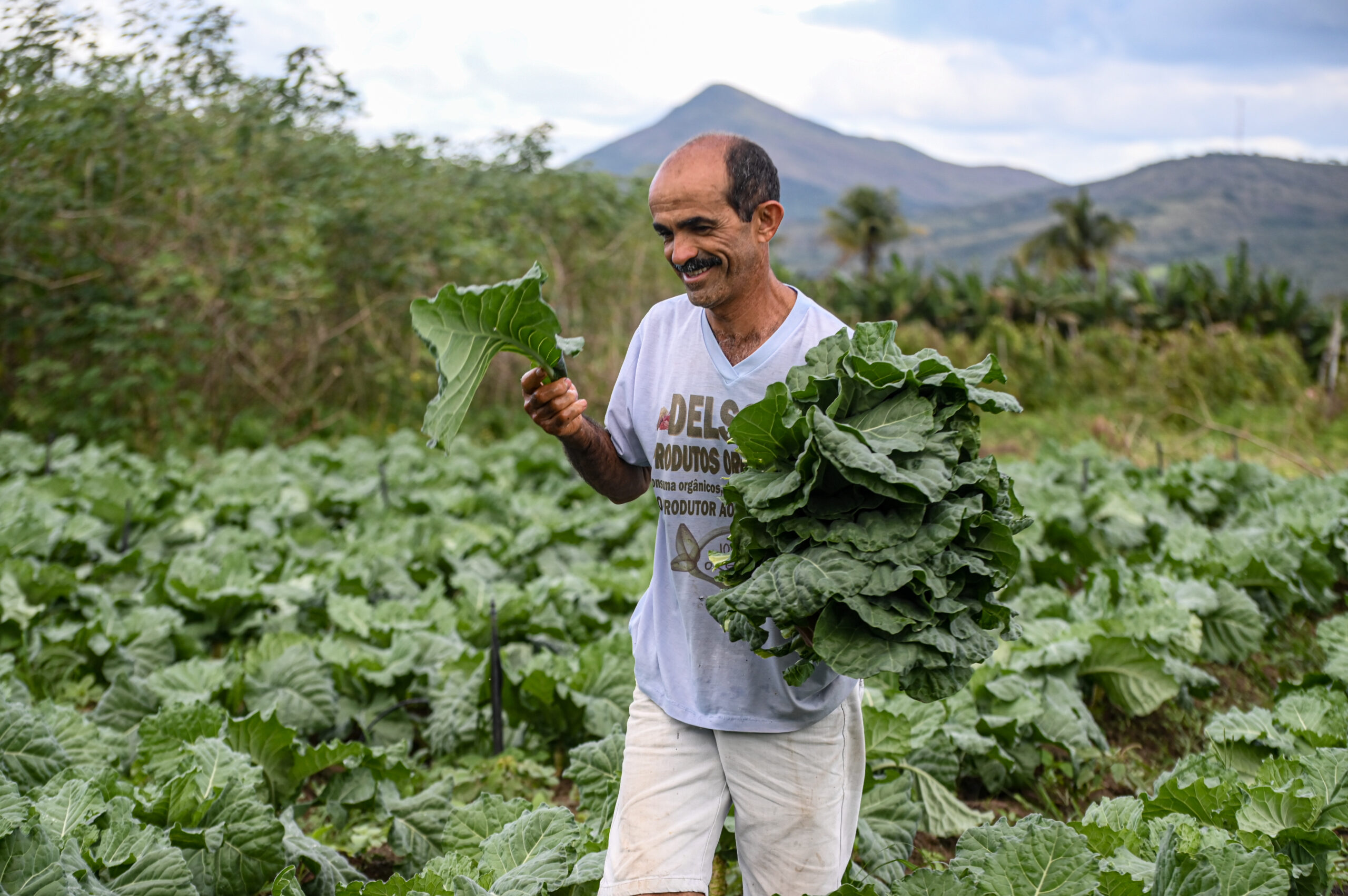 Governo investe R$ 60 milhões na agricultura e produtores comemoram fortalecimento do setor em Sergipe