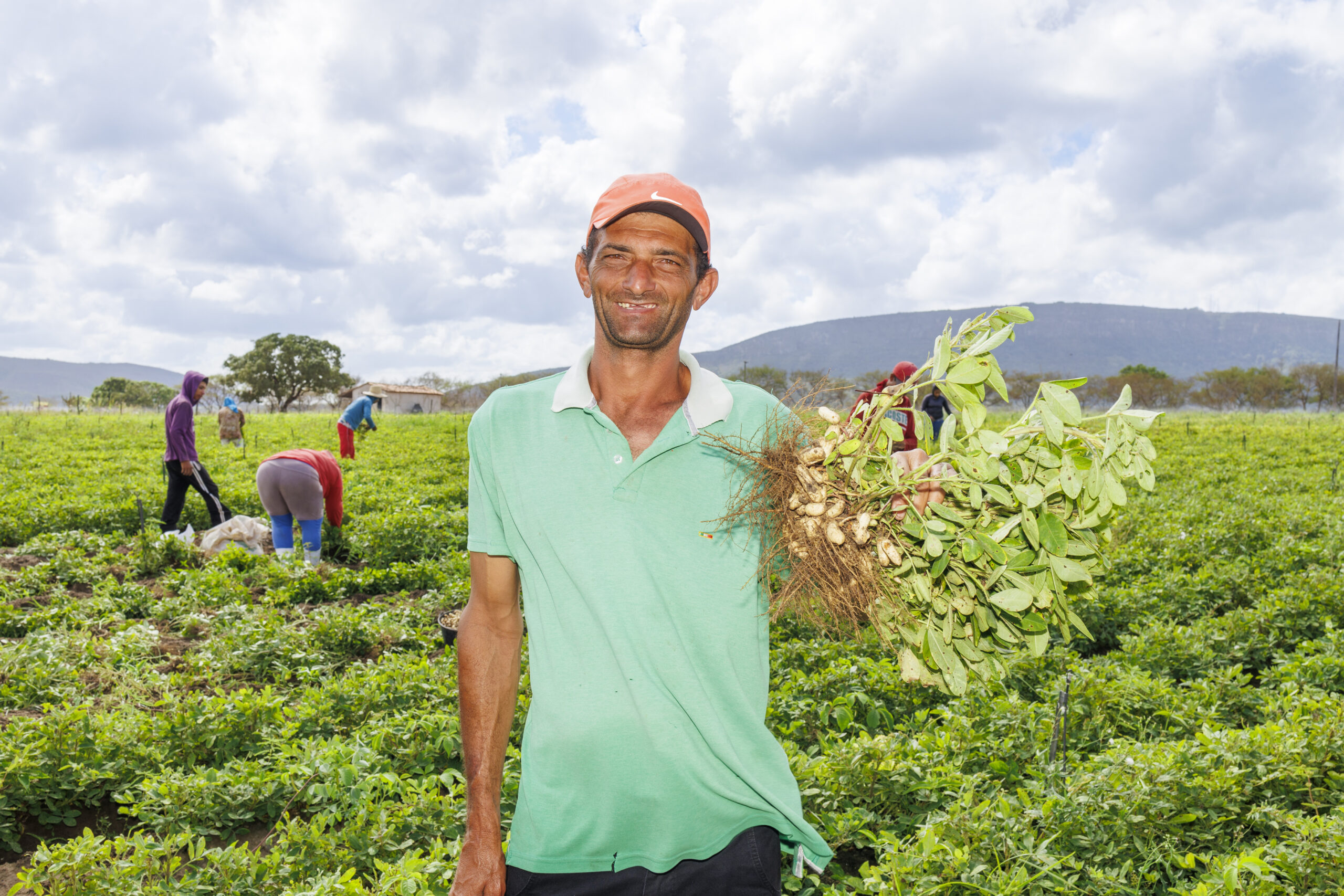 Produção agrícola cresce 11% nos perímetros irrigados administrados pelo Governo de Sergipe