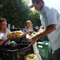 Na Cohidro Delfino vende orgânicos para os servidores