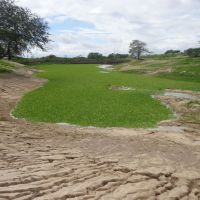 Barragem do Assentamento Paulo Freire (Porto da Folha) comecou a pegar agua logo nas primeiras chuvas - Foto Valdi Aragao (Cohidro)