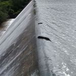 Barragem do Perímetro Jabiberi verteu na terça-feira, dia 23 - Foto Ascom-Cohidro