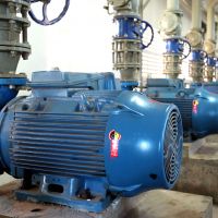 Foto: André Moreira (ASN)