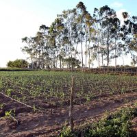 Foto: André Moreira (ASN)