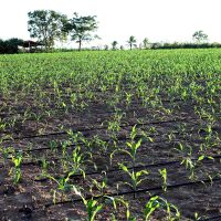 Foto: André Moreira (ASN)