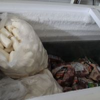 Alguns alimentos recebidos nas escolas são processados e congelados para aumentar durabilidade