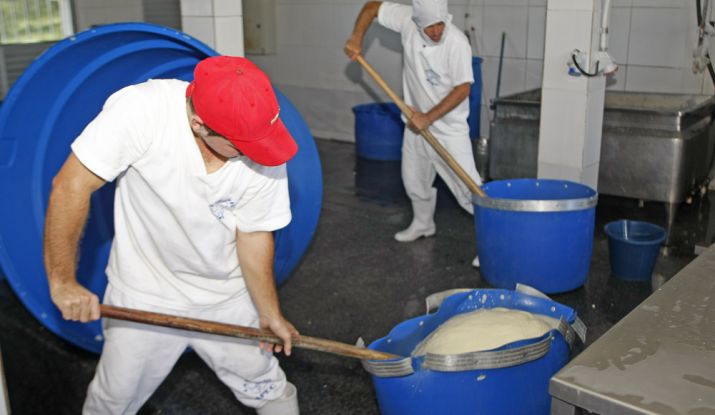 O laticínio adquire todo o leite do perímetro e processa, em média, entre dois e cinco mil litros por dia - Foto: ASN