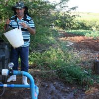 Sidrack - feita a mistura de nutrientes em tonéis. (Foto: Bruno Noz)