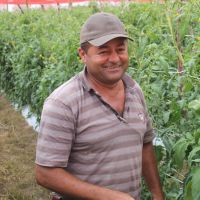 pequeno produtor rural Gidelson Gonçalves dos Santos em sua estufa