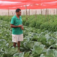 Produtor orgânico João Pacheco