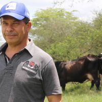 José Reis Coelho do Jabiberi