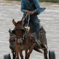 Alexandre Matos pega água para o gado na barragem do Povoado Fortaleza em Glória