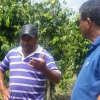 O produtor Gidelson Gonçalves procura cultivar mais um tipo de pimenta