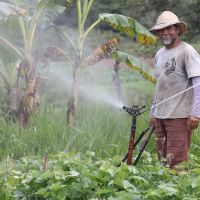 Dernival Lima produz uma infinidade de alimentos orgânicos por meio da irrigação do Jacarecica II