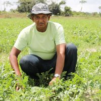 José Jenaldo e a melancia irrigada e orgânica no Jacarecica II