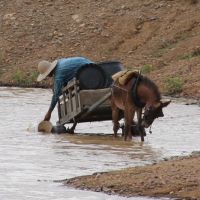 Solução para dessedentação animal nas regiões onde menos chove está nas barragens de terra