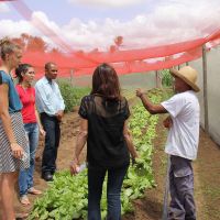 Visitantes conhecem telado de João Pacheco - proteção contra insetos
