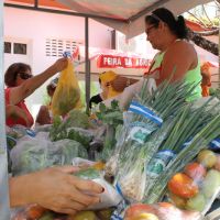 Os produtos orgânicos de Lagarto tem venda garantida nas Feiras da Agricultura Familiar em Aracaju