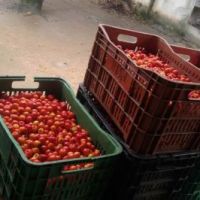 Entrega às entidades socioassistenciais - Foto: arquivo Gildo Almeida