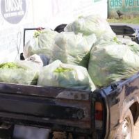 Variedade e quantidade de alimentos a serem entregues às doações, são escolhidas levando em conta uma dieta alimentar diária - Fotos: Ascom/Cohidro