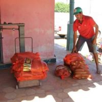 Variedade e quantidade de alimentos a serem entregues às doações, são escolhidas levando em conta uma dieta alimentar diária - Fotos: Ascom/Cohidro