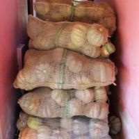 Variedade e quantidade de alimentos a serem entregues às doações, são escolhidas levando em conta uma dieta alimentar diária - Fotos: Ascom/Cohidro