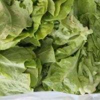 A qualidade dos alimentos entregues pelos produtores tem surpreendido as entidades receptoras - Fotos: Ascom/Cohidro