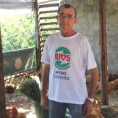 Gercino Teles na sua produção de frangos. Foto: Ariel Carmo