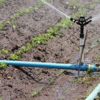 A aspersão convencional e não localizada fornece água além do que a planta precisa