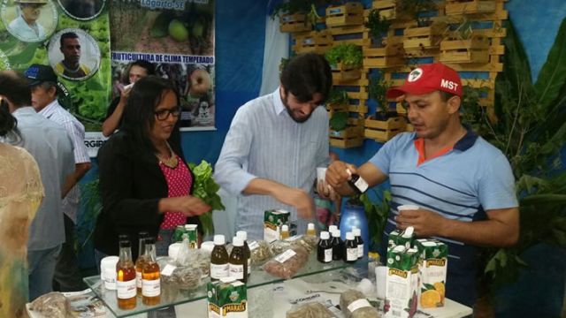 Banquinha expôs os fitoterápicos produzidos de plantas cultivadas em área cedida pela Cohidro