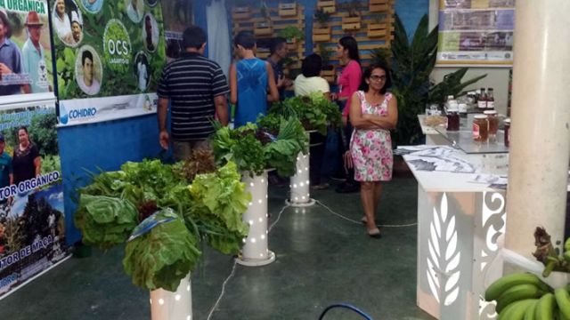Stand expõe produtos cultivados e confeccionados no Perímetro Piauí
