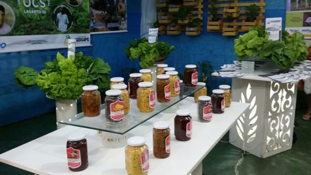 Uma das novidades do stand da ExpoLagarto2015 foram os doces artesanais