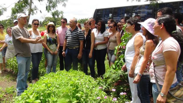 Na Farmácia Viva ocorrem aulas práticas de cultivo e manuseio das plantas com aplicação medicinal