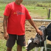 o pequeno pecuarista Pedro Vidal