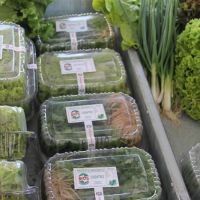 Produtos orgânicos da Bio5 em embalagens duráveis