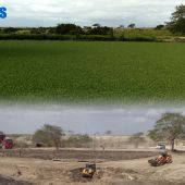 Assentamento Paulo Freire hoje com barragem vertendo. Vegetação aquática cobre toda superfície e limpa a água - Foto Fernando Augusto (Ascom-Cohidro)