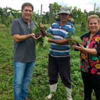 Diretor João, produtor Sidrack e a gerente do Califórnia, Eliane no campo experimental de uvas