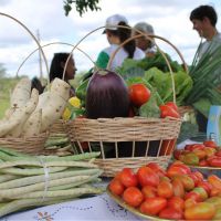 Produção orgânica