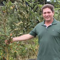 João Quintiliano e a produção de Macã em Lagarto