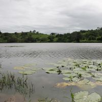 Barragem do Algodão atingiu sua capacidade máxima já nas primeiras chuvas do ano- Foto Fernando Augusto (Ascom-Cohidro)