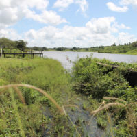 Água da barragem cheira em Ribeirópolis, escoa pelo sangradouro junto da orla - Foto Fernando Augusto (Ascom-Cohidro)