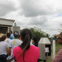 Foto: Michaelle Santiago