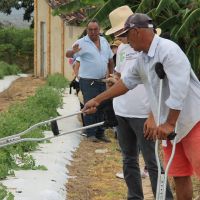 Foto: Michaelle Santiago