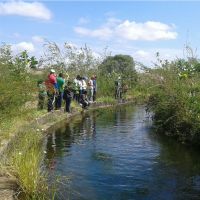 Os canais de irrigação do perímetro Califórnia interligam estações de bombeamento que levam água para irrigar os lotes agrícolas - foto Andrea Santos (Califórnia-Cohidro)