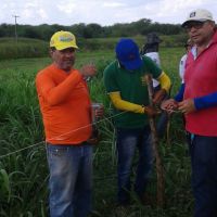 Roberto Ramos, os colegas técnicos e estagiários fazem prática de campo do Balde Cheio em lote do Califórnia - foto arquivo pessoal (11)